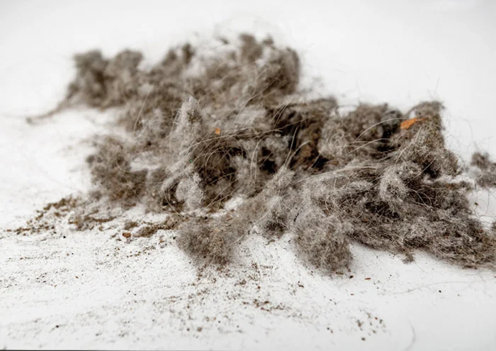 dust
